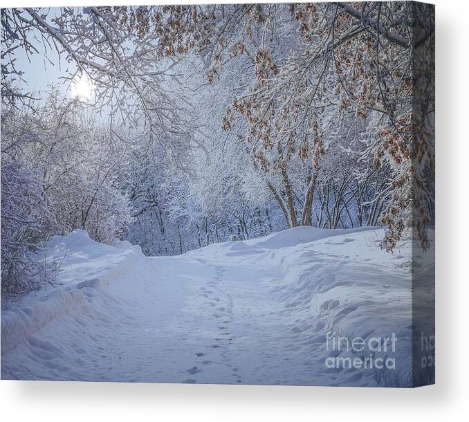 Winter Canvas Print featuring the photograph Winter Wonderland by Susan Rydberg