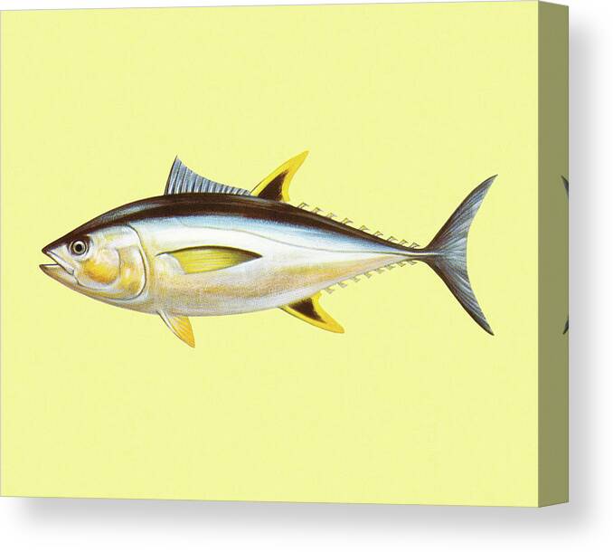 Activity Canvas Print featuring the drawing Fish #15 by CSA Images