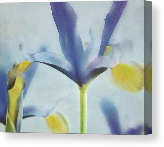 Connie Handscomb Canvas Print featuring the photograph Flow #1 by Connie Handscomb