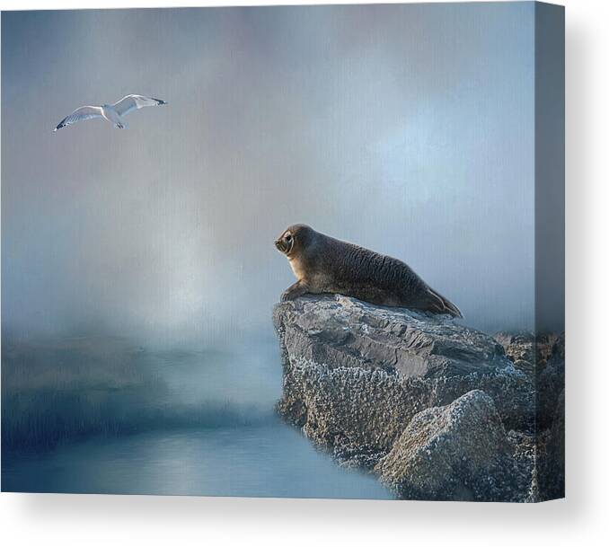 Seal Canvas Print featuring the photograph On The Rocks by Cathy Kovarik