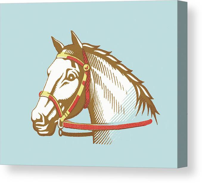 Animal Canvas Print featuring the drawing Horse #22 by CSA Images