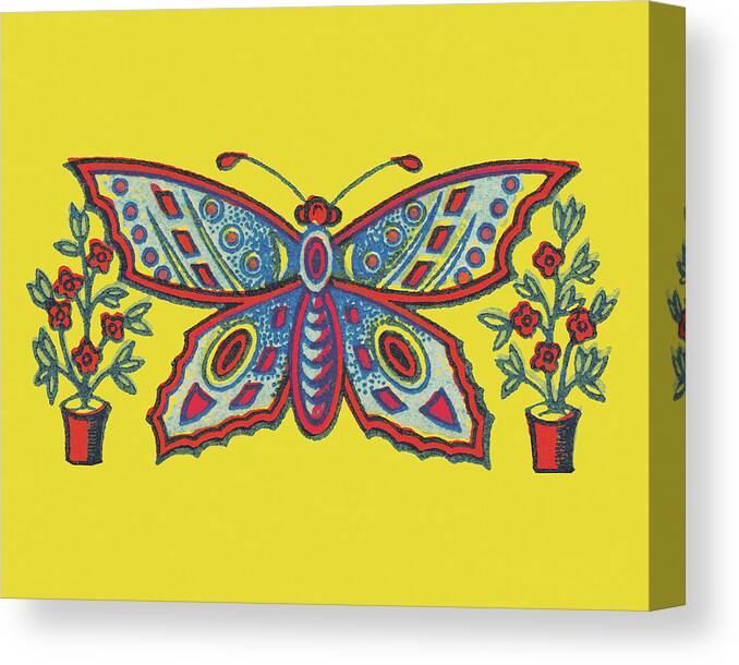 Animal Canvas Print featuring the drawing Butterfly #27 by CSA Images