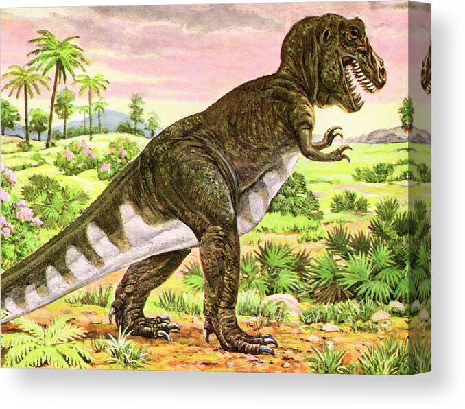 Animal Canvas Print featuring the drawing Dinosaur in the Jungle #3 by CSA Images