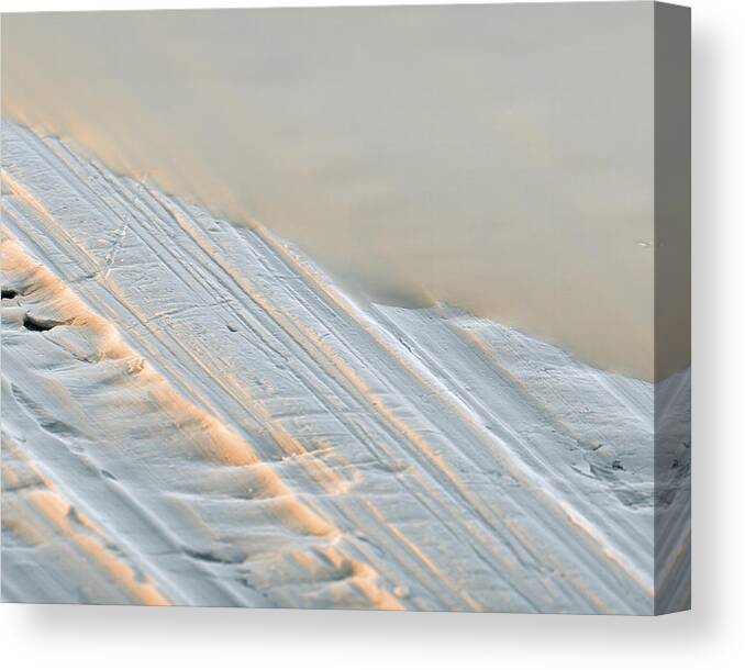 Aluminum Canvas Print featuring the photograph Polysilazane, Sem #3 by Meckes/ottawa