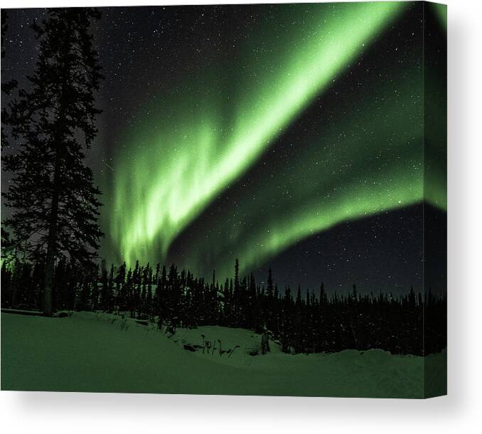 Aurora Borealis Canvas Print featuring the photograph Northern Lights #38 by Laura Hedien