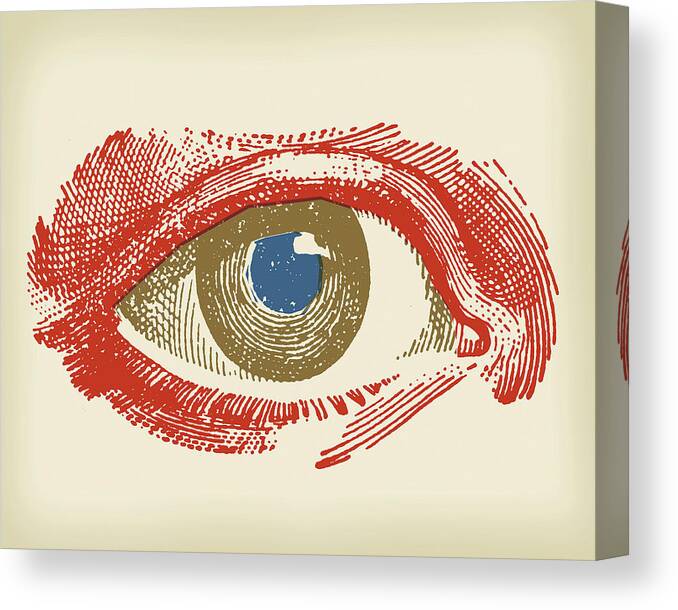 Anatomical Canvas Print featuring the drawing Closeup of an Eye #4 by CSA Images