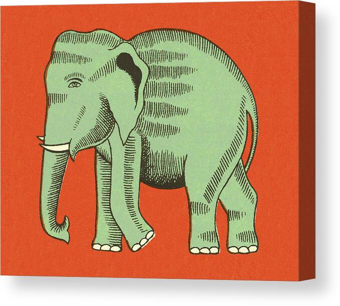 Animal Canvas Print featuring the drawing Elephant #4 by CSA Images
