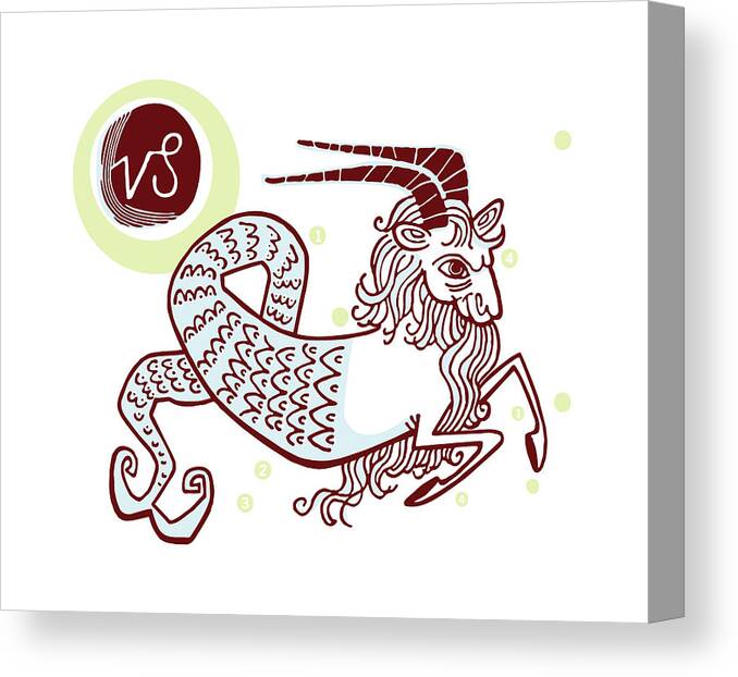 Animal Canvas Print featuring the drawing Capricorn #7 by CSA Images