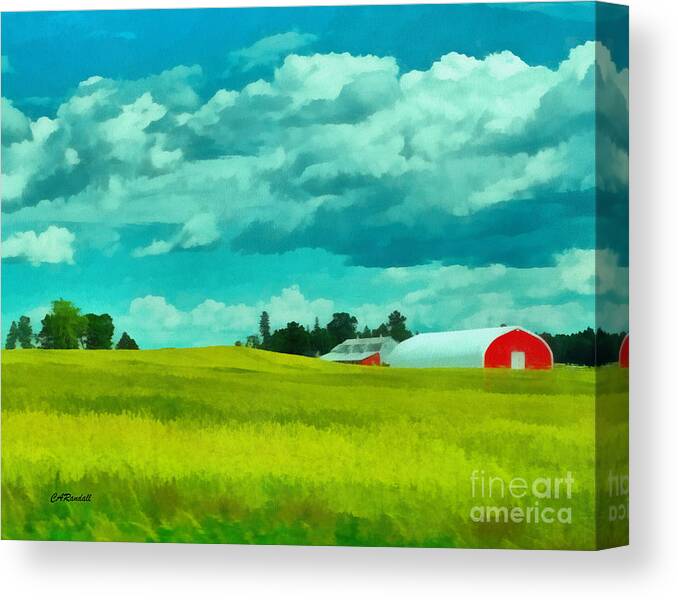 Field Canvas Print featuring the photograph A Field of Gold by Carol Randall