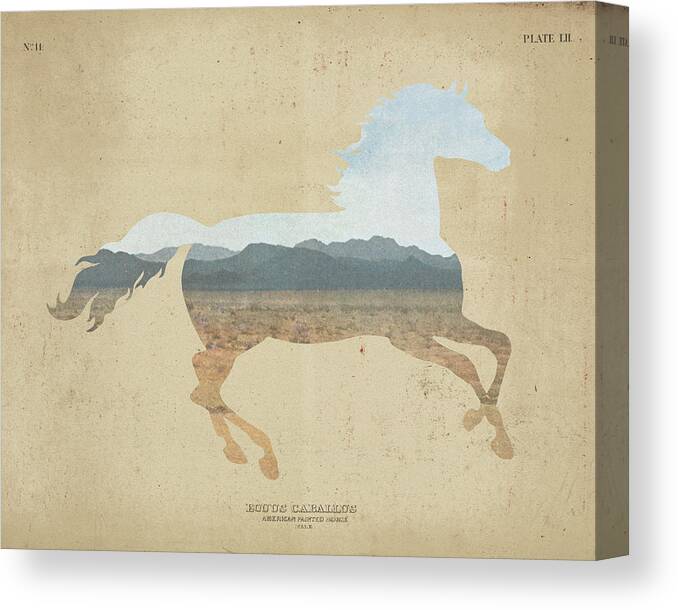 Animals Canvas Print featuring the painting American Southwest Horse Distressed by Wild Apple Portfolio
