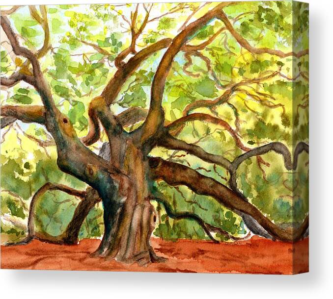 Angel Oak Tree Canvas Print featuring the painting Angel Oak Tree South Carolina by Carlin Blahnik CarlinArtWatercolor