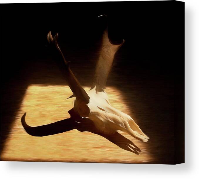 Kansas Canvas Print featuring the photograph Antelope 004 by Rob Graham