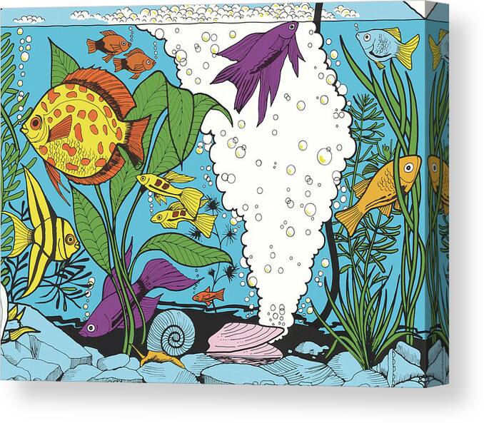 Animal Canvas Print featuring the drawing Aquarium by CSA Images