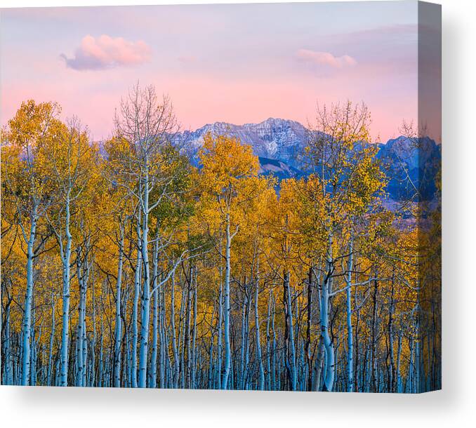 Sunset Canvas Print featuring the photograph Autumn Delight by John Fan