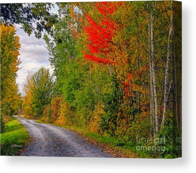 Country Road Canvas Print featuring the photograph Autumn Lane by Carol Randall