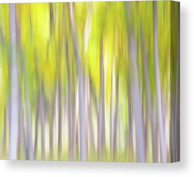 Autumn Canvas Print featuring the photograph Autumn Whispers by Darren White