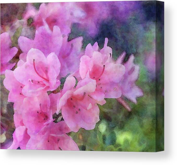 Impressionist Canvas Print featuring the photograph Azalea 6509 IDP_2 by Steven Ward