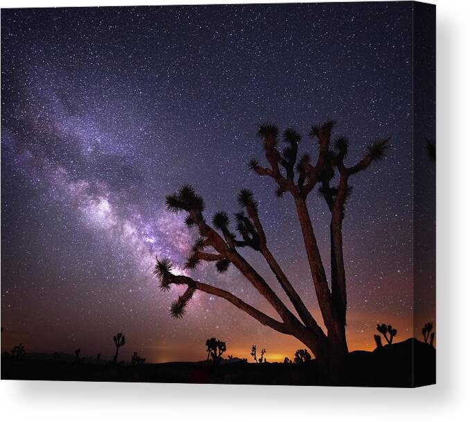 Tranquility Canvas Print featuring the photograph Beyond The Invisible by Chris Moore - Exploring Light Photography