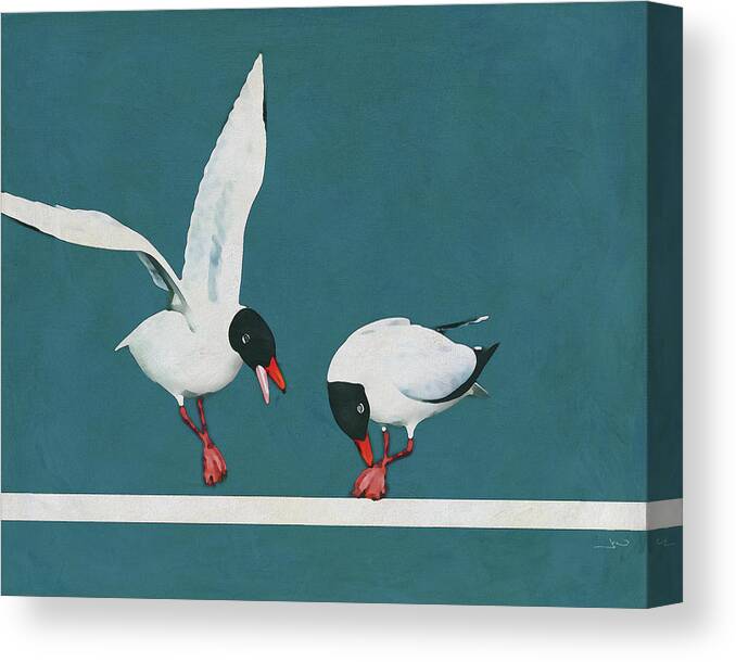 Animal Canvas Print featuring the digital art Black seagull visits another one by Jan Keteleer