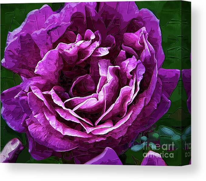 Rose Canvas Print featuring the digital art Bold Purple Rose Bloom by Kirt Tisdale