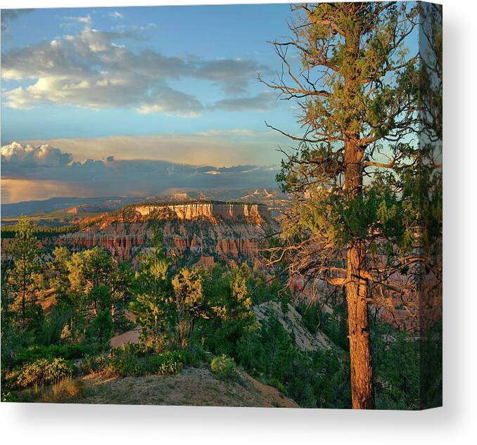 00555585 Canvas Print featuring the photograph Butte, Bryce Canyon National Park, Utah by Tim Fitzharris