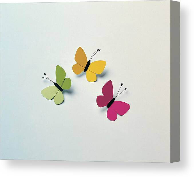 White Background Canvas Print featuring the photograph Butterflies by Digital Vision.