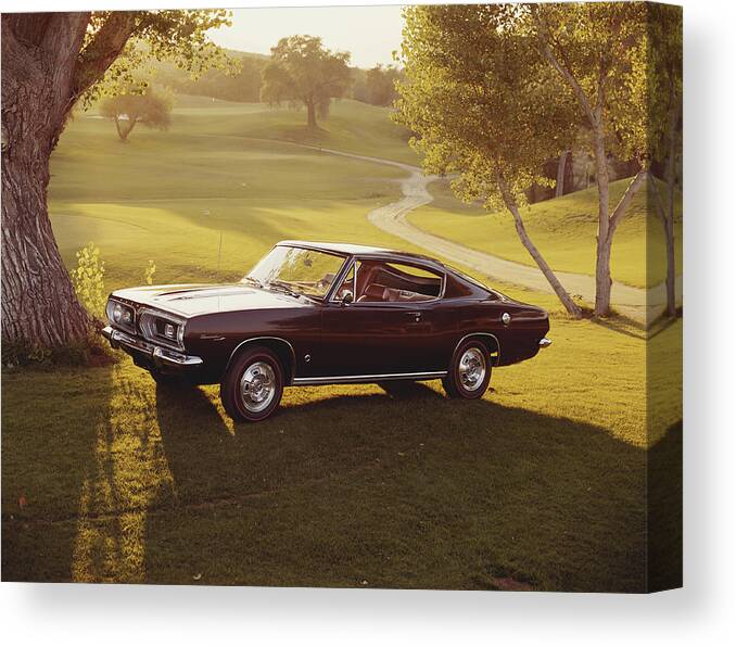 Shadow Canvas Print featuring the photograph Cark Parked In Park Near Tree by Tom Kelley Archive