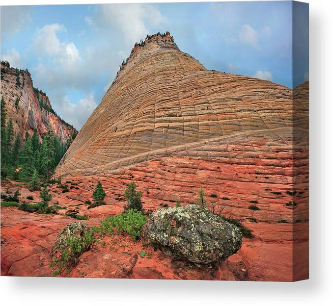 00555583 Canvas Print featuring the photograph Checkerboard Mesa, Zion National Park, Utah by Tim Fitzharris