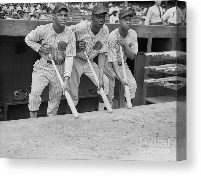 People Canvas Print featuring the photograph Chicago Giants Players Standing by Bettmann