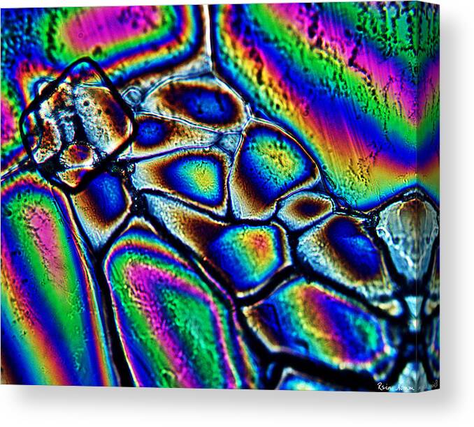  Canvas Print featuring the photograph Chromatic Insight by Rein Nomm