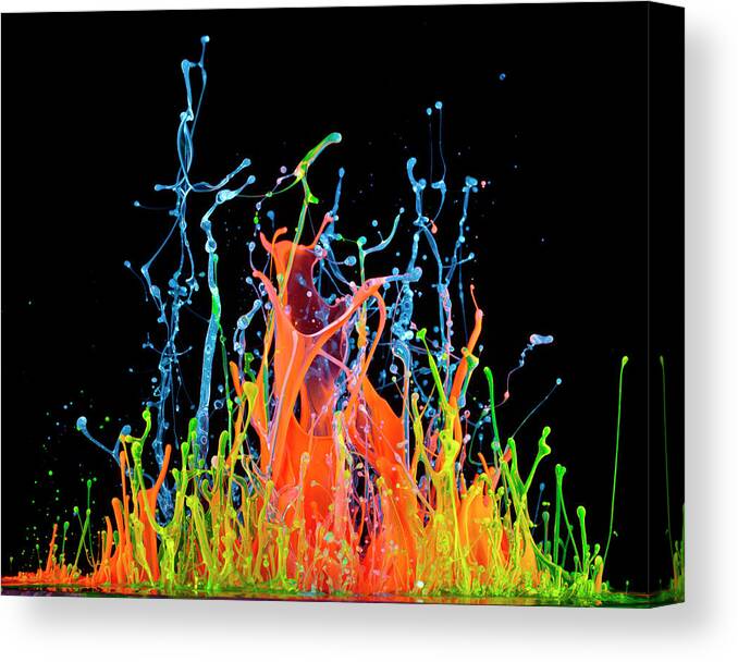 Black Background Canvas Print featuring the photograph Colorful Liquid In Motion by Don Farrall