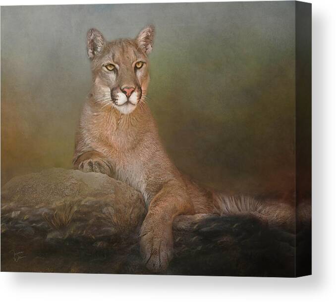 Wildlife Canvas Print featuring the digital art Contemplation by TL Wilson Photography by Teresa Wilson