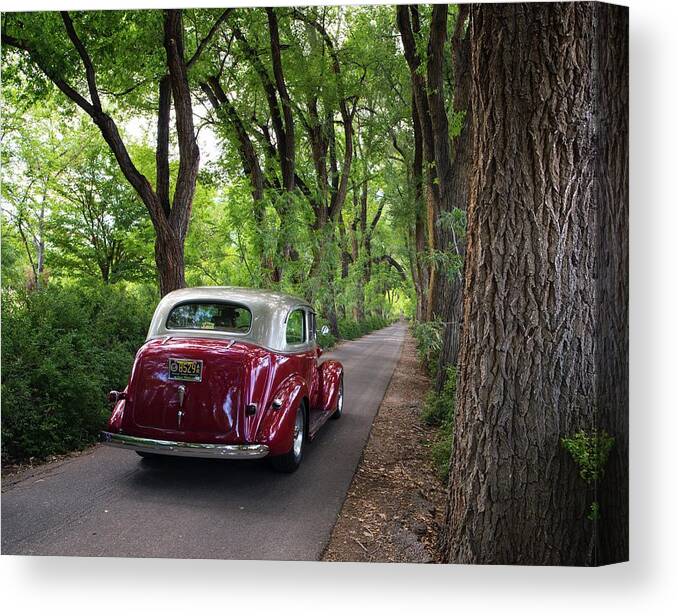 Classic Canvas Print featuring the photograph Cottonwood Classic by Tom Gresham