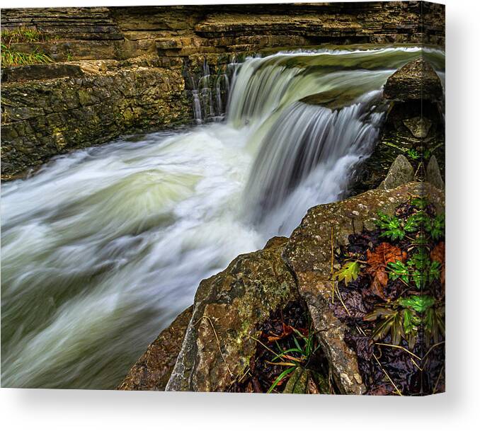 Creek Canvas Print featuring the photograph Cove Spring by Ulrich Burkhalter