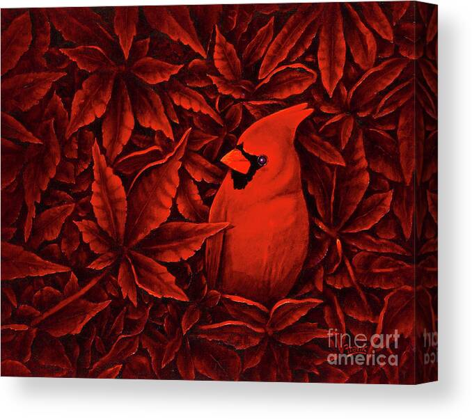 Cardinal Canvas Print featuring the painting Crimson by Michael Frank