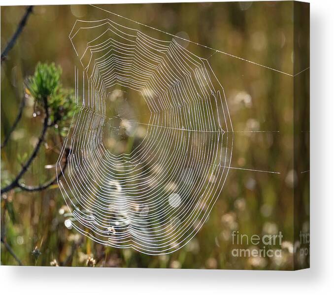 Dew Canvas Print featuring the photograph Crystal Funnel by Michael Dawson