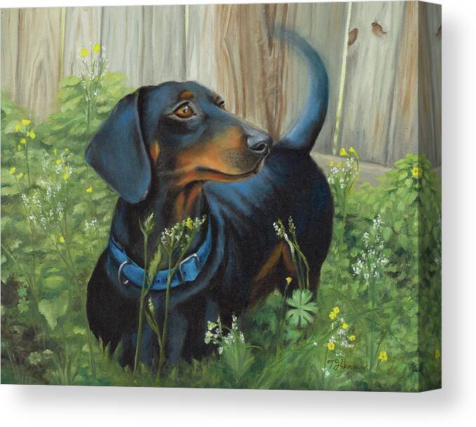 Animals Canvas Print featuring the painting Dachshund by Tiffany Hakimipour