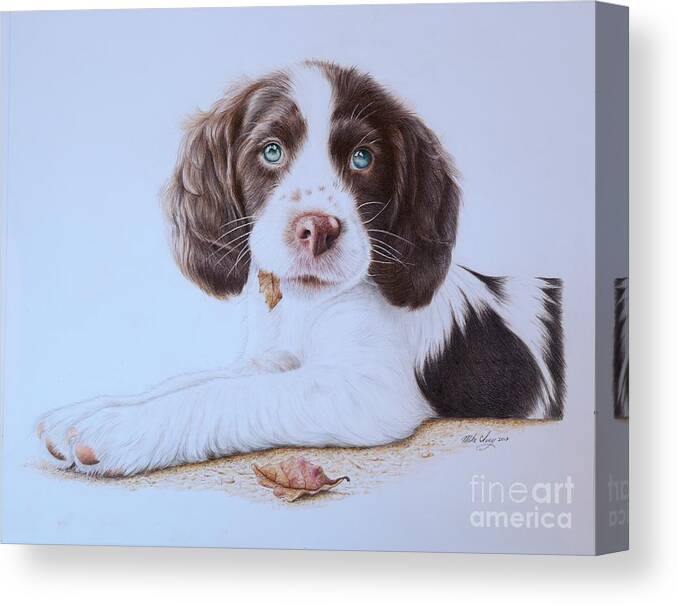 Dog Canvas Print featuring the drawing Dirk by Mike Ivey