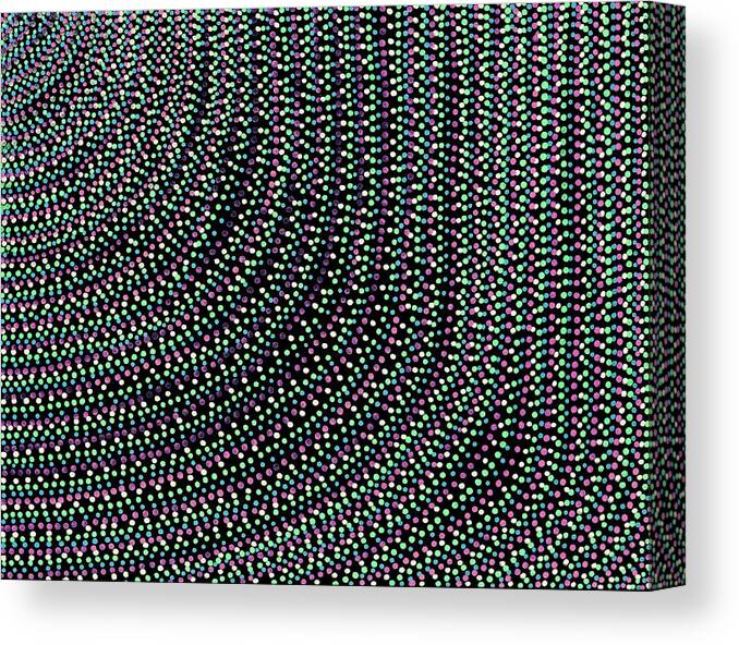 Drawing Canvas Print featuring the drawing Dotted by Lara Morrison