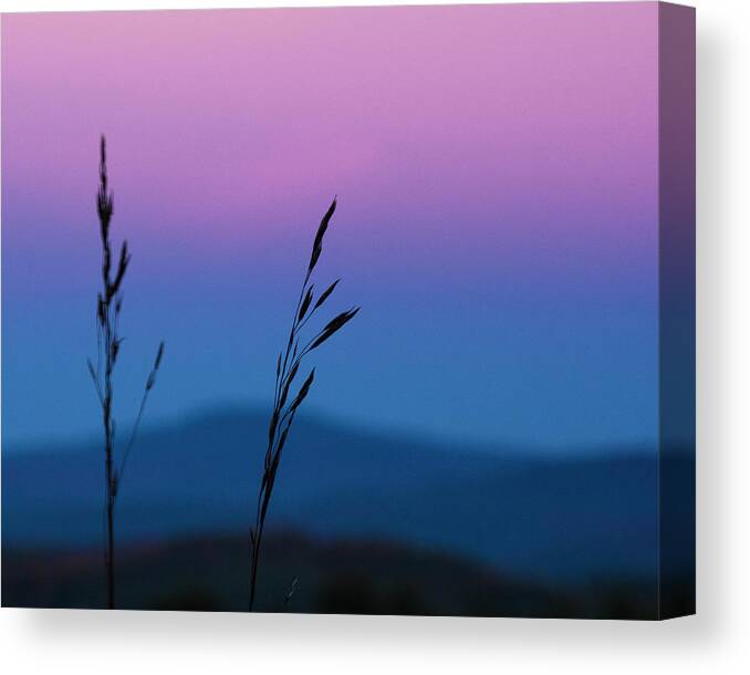 Dusk In A Field Canvas Print featuring the photograph Dusk In A Field by Brenda Petrella Photography Llc