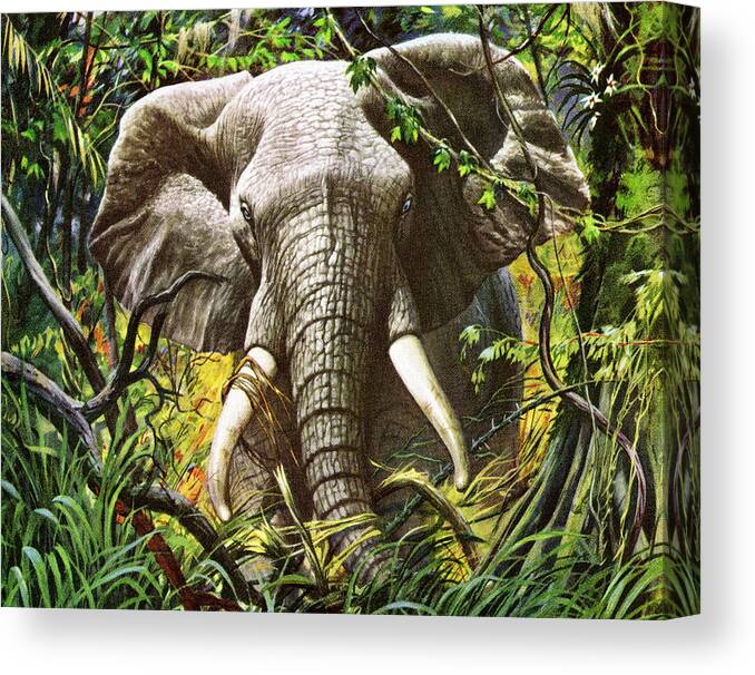Africa Canvas Print featuring the drawing Elephant in the Jungle by CSA Images