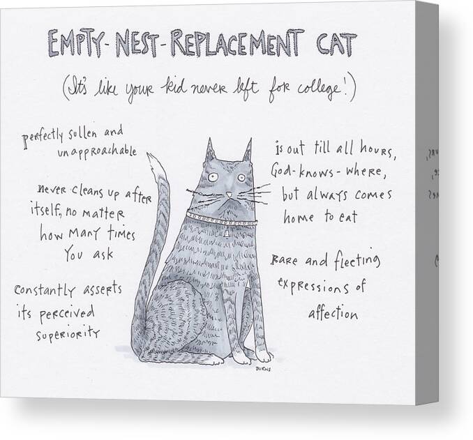 Captionless Canvas Print featuring the drawing Empty Nest Replacement Cat by Teresa Burns Parkhurst