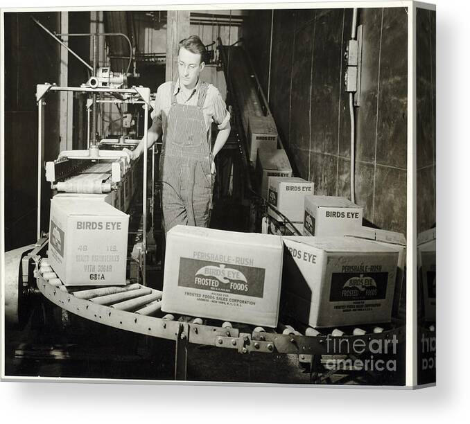 People Canvas Print featuring the photograph Factory Worker Watching A Conveyor Belt by Bettmann