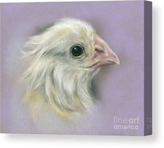 Bird Canvas Print featuring the painting Fluffy Yellow Chick on Purple by MM Anderson