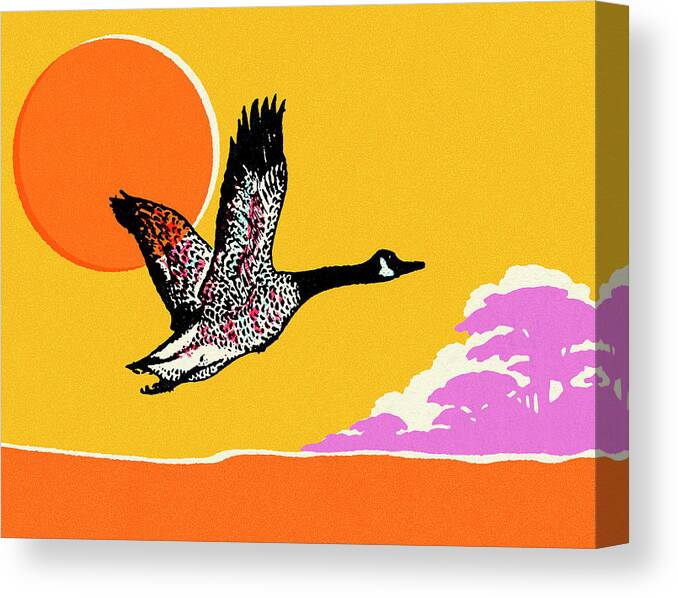 Animal Canvas Print featuring the drawing Flying Canadian Goose by CSA Images