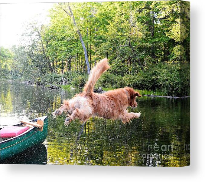 Animal Canvas Print featuring the photograph Flying Dog by Steve Brown