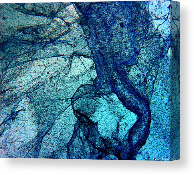  Canvas Print featuring the photograph Frozen in Blue by Rein Nomm
