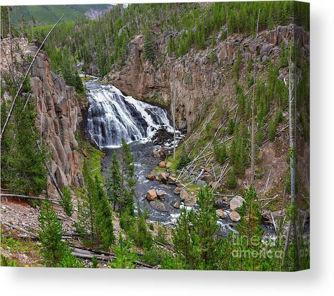 Waterfalls Canvas Print featuring the photograph Gibbon Falls by Steve Brown