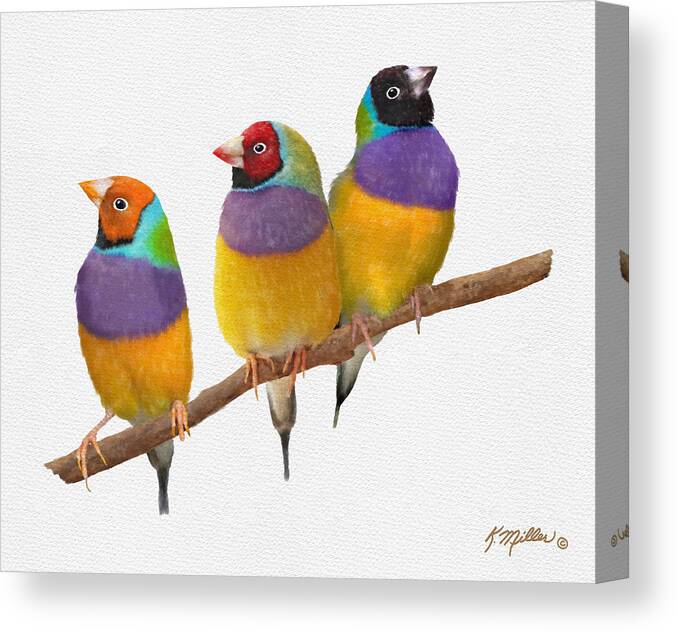 Bird Canvas Print featuring the pastel Gouldian Finches by Kathie Miller
