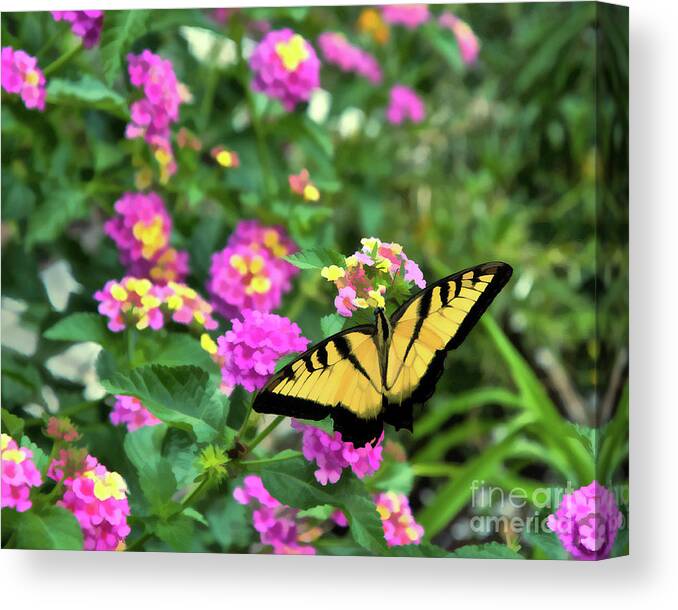 Nature Canvas Print featuring the photograph Graceful Swallowtail by Amy Dundon